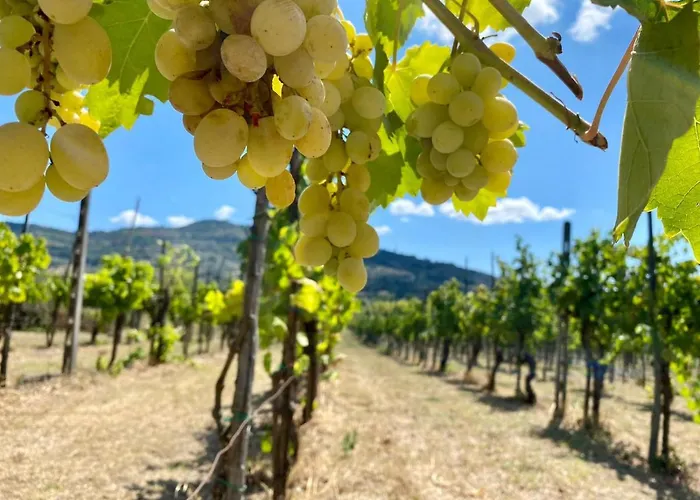 Relais Baldelli Отель Кортона