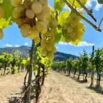 Relais Baldelli Отель Кортона