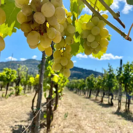 Relais Baldelli Hotel Cortona